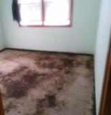 asbestos floor tile abatement